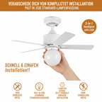 2-in-1 Deckenventilator – Deutsche Version