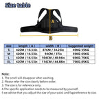 Unisex Posture Corrector Back Strap, Fully Adjustable Spinal Support Belt, Comfortable and Effective Upper Back Support